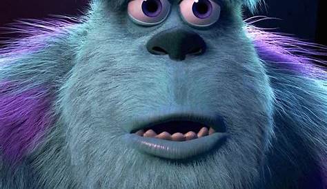 Sulley Monsters INC - Imagui