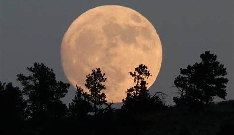 When Will the Moon Rise Tonight? | Moon, Old farmers almanac, Moon rise