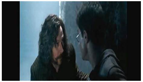 Por que SIRIUS BLACK morreu quando atravessou o véu em Harry Potter
