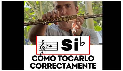 Instrumentos Musicales: flauta traversa