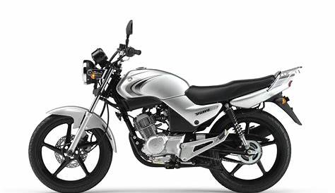 Moto del día: Yamaha YBR 125 | espíritu RACER moto