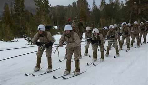 Mountain Warfare Training Center (MWTC), Education Command veterans in