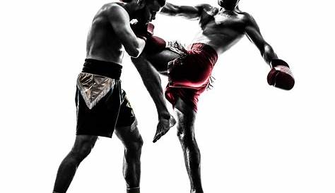 Muay thai. Martial art stock vector. Illustration of fight - 39733582