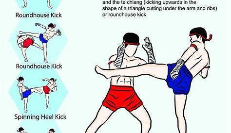 Muay Thai moves and advanced fighting techniques | Muay thai, Muay thai