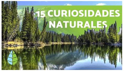 +132 Curiosidades de la naturaleza que te van a impactar