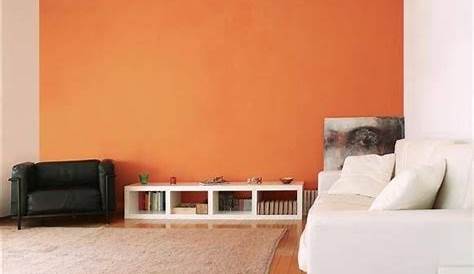 Mur Orange Couleur Peinture Salon Conseils Et 90 Photos Pour Vous
