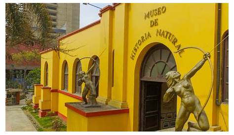 Museo de Historia Natural de la UNMSM en Lima - Exhibición única