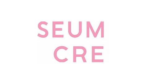 Reviewed New Logo and Identity for Museum of Ice Cream by The Working