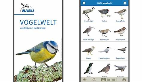 NABU Vogelwelt für PC - Windows 10,8,7 (Deutsch) - Download kostenlos