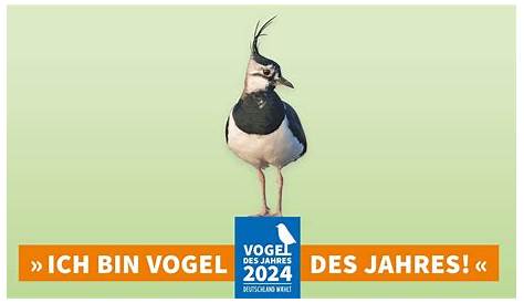 Vogel des Jahres 2021 - NABU NRW