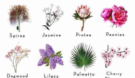 Nama Bunga Melayu Klasik - Nama Klasik Perempuan Islam Yang Ringkas Dan