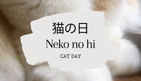 International Cat Day This Month - Catwatch Newsletter
