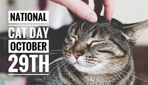 World Cat Day