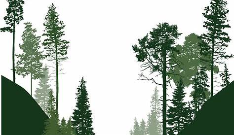 Forest clipart, Forest Transparent FREE for download on WebStockReview 2024