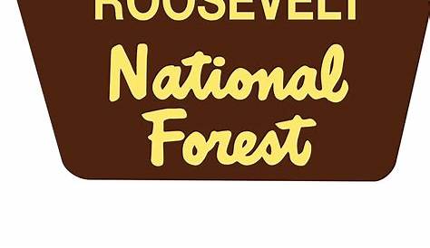 Custom National Forest Sign Hand Painted | Etsy