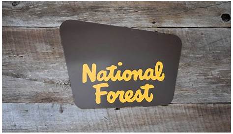 National Forest sign shape in 2020 (With images) | National