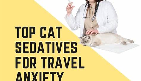 Natural Cat Sedative For Travel Six Ways To Ly Sedate Your Training