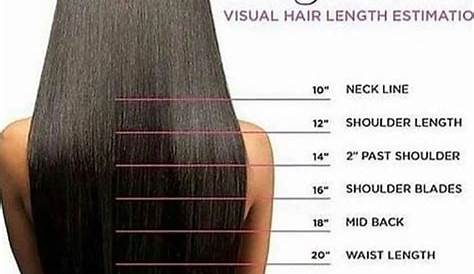 Hair Length Chart Easy Measurement, Styles & Care Guide