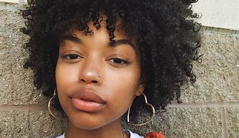 Natural Hairstyles For Black Women 2023 100+ In 2019