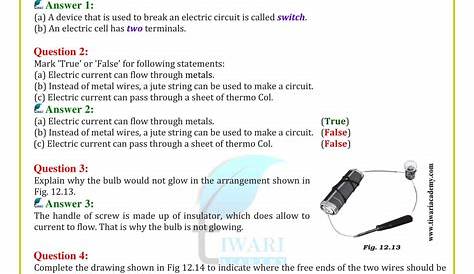 NCERT Solutions for Class 6 Science Chapter 13 Fun with Magnets - Free PDF