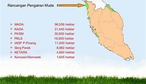 Kawasan Penanaman Padi Di Malaysia