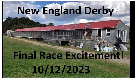 DANISH PIGEON RACE 2018. TRAINING 01/08/2018 - ONE LOFT RACING