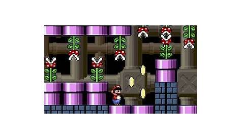 NEW MARIO BROS. 2 free online game on Miniplay.com