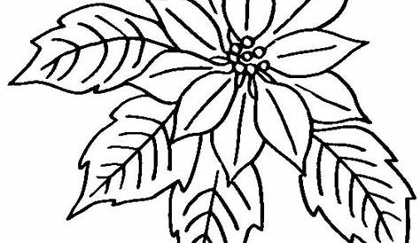 dibujos flor de nochebuena para colorear - Buscar con Google | Hojas de