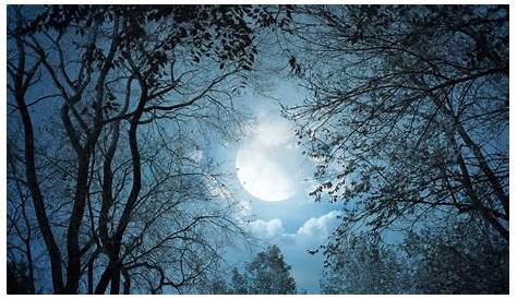 Noches de Luna llena | Fotos e Imágenes en FOTOBLOG X