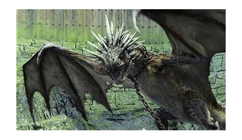 Harry Potter's Dragons And Other Beasts, As You've Never Seen Them