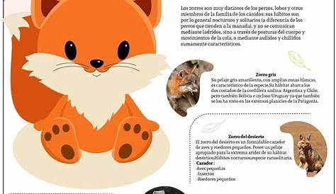 infografia zorro | Infografia de animales, Informacion de animales