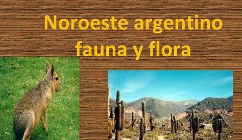 Calaméo - Fauna del Noroeste Argentino