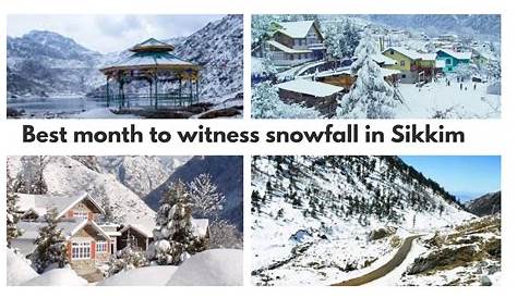 Snowfall in Sikkim | Drivetonortheast