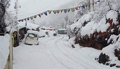 Sikkim, North Bengal receive fresh snowfall | North East India News