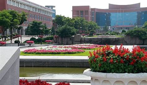 A snapshot of Northeastern University of China - China.org.cn