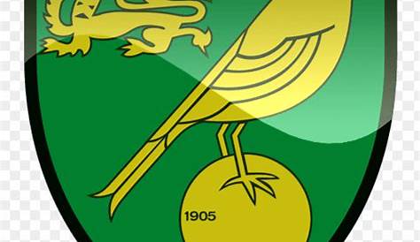 Download wallpapers Norwich City FC, silk flag, emblem, logo, 4k