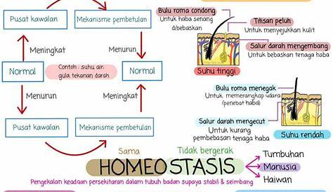 Nota Sains Tingkatan 4 Bab 2 | Nota Cikgu Shu