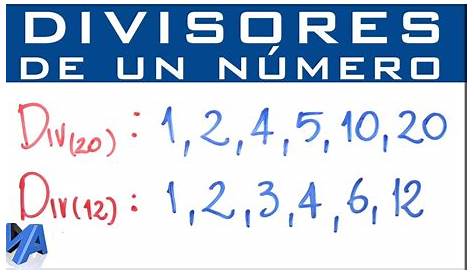 Los divisores y múltiplos de un numero natural
