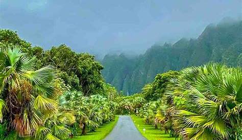 Oahu Gardens Ho'omaluhia Botanical Garden {the Certified 2019 Guide} Most