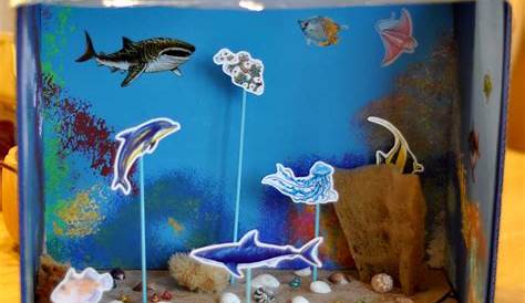 Shark Diorama, Underwater Diorama, 3 layer Diorama Shark Habitat