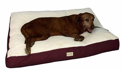 Off Floor Dog Beds That Sit The Canada