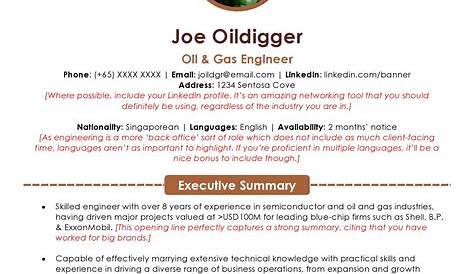 Oil And Gas Engineer Resume Examples 16 Best Images About Expert & Samples On Pinterest
