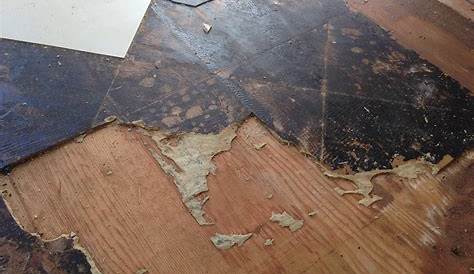Do Old Linoleum Floors Have Asbestos Floor Roma