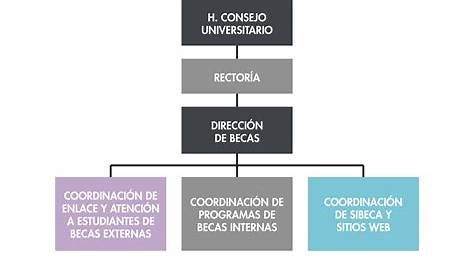 Educación a Distancia - Universidad Cuauhtémoc Aguascalientes
