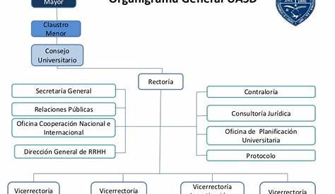 No 2(2) organigrama tipo decano modificado 02