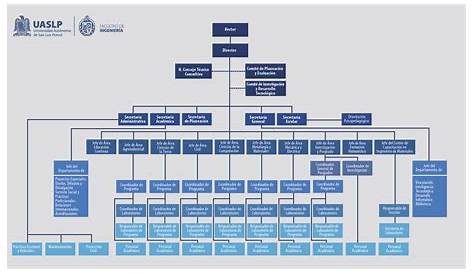 Organigrama – Universidad Autónoma de Sinaloa