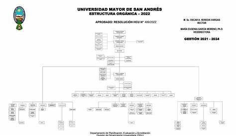 Estructura Orgánica - umsa