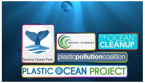 5 Organizations Working To Clean Up The Ocean