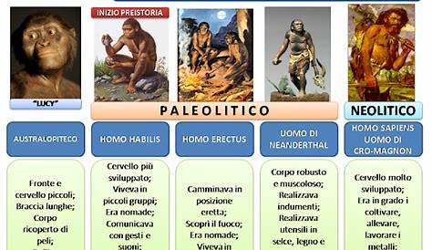 L’EVOLUZIONE DELL’UOMO – Didattica facile Didattica inclusiva Homo