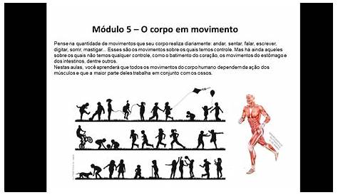 Corporeidade: IMAGENS DE MOVIMENTOS CORPORAIS